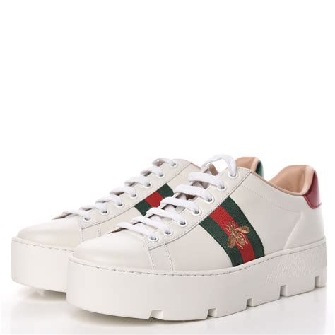 gucci trainers womens ace